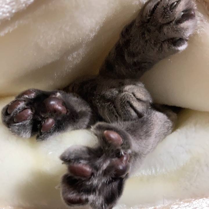 97fe52db 6b92 4a58 8bb4 cb3928d734c2 1644770163708