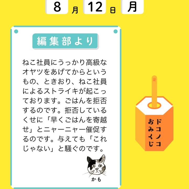 97fe5c32 566d 4e14 98fa b304b4cd8114 1565648616129