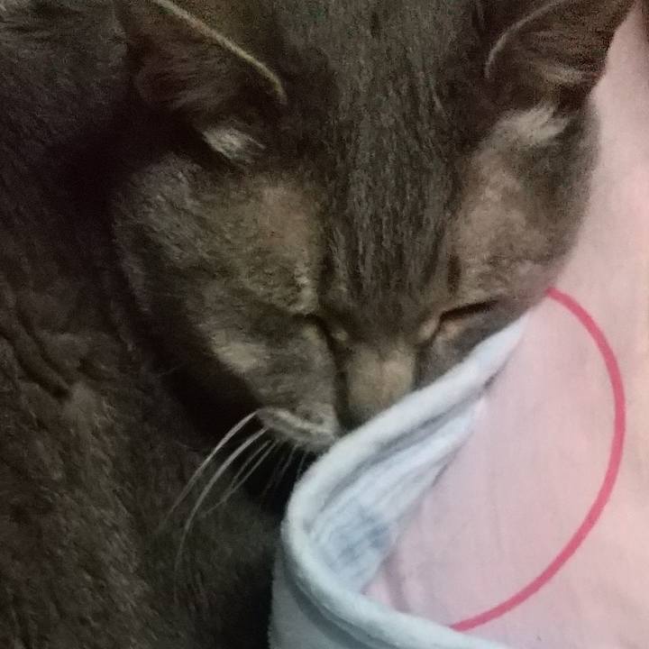 97fe631a b84f 4a07 9084 526883f6f054 1618755185535