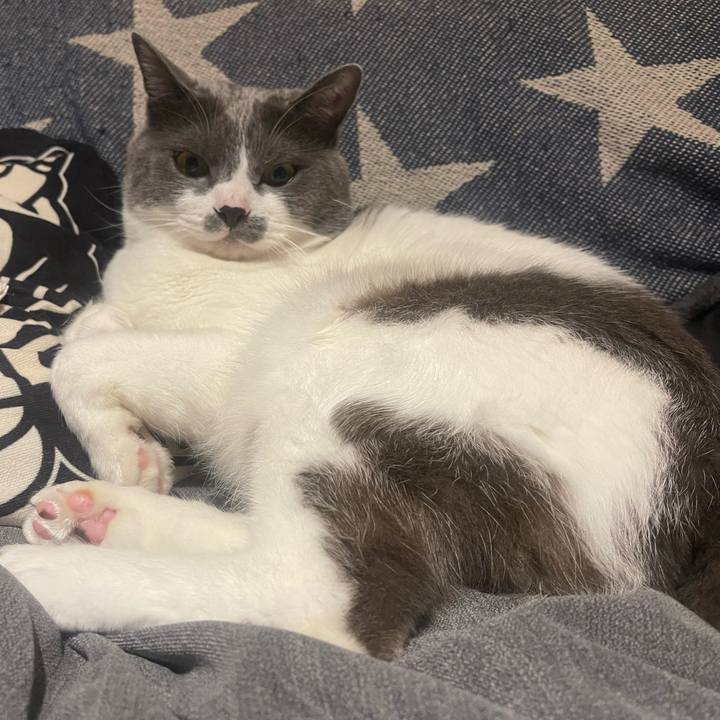 97fe9799 7efa 46c7 85e0 041e68d7ad85 1652530723516