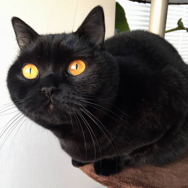 97fea6a8 eed8 4466 b1db 96078485e195 1515797034995