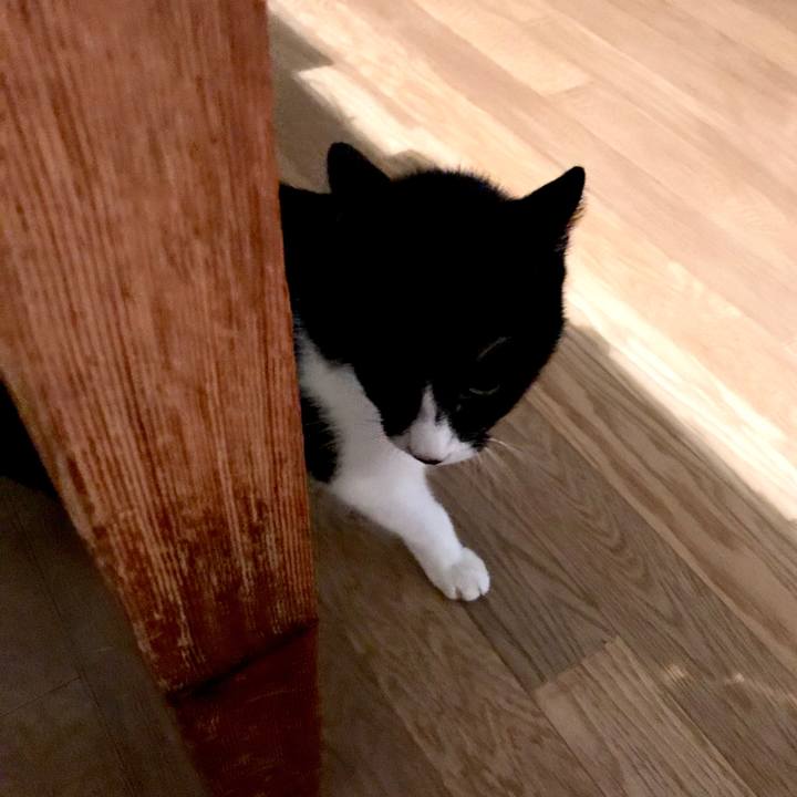 97fec246 9fd0 41bb a61b 4018d758a43a 1521093053207