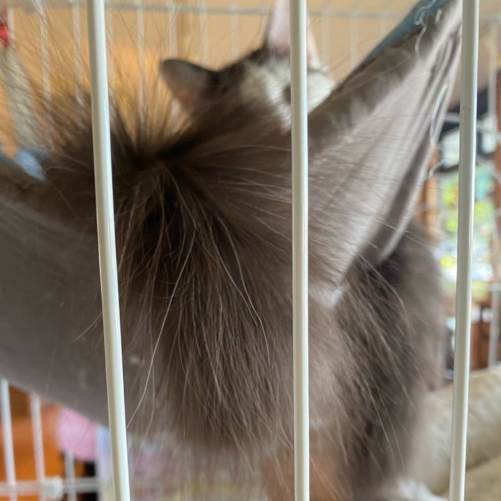 97fecd9b fb9b 458f be82 663a0e080177 1698216582601