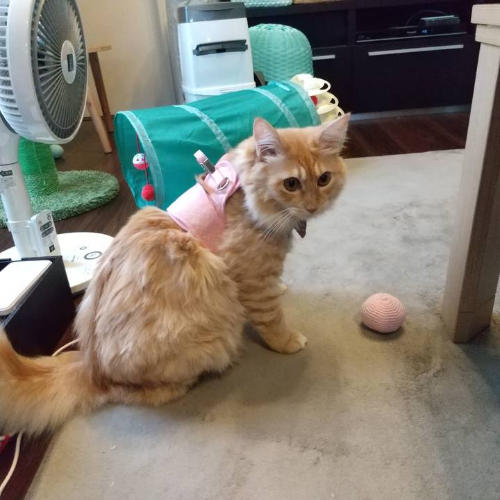 97fee2b6 65d3 4a0f a12f 1d256d1e7730 1631943599489