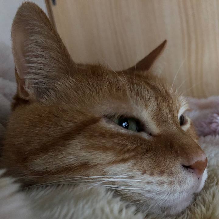 97ff039b a154 4912 9cf4 f77bc6347d4a 1716974142944