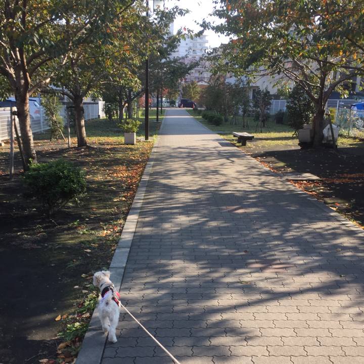 97ff1a58 d7e2 4dfb b164 67d55c4a82c6 1509862752996