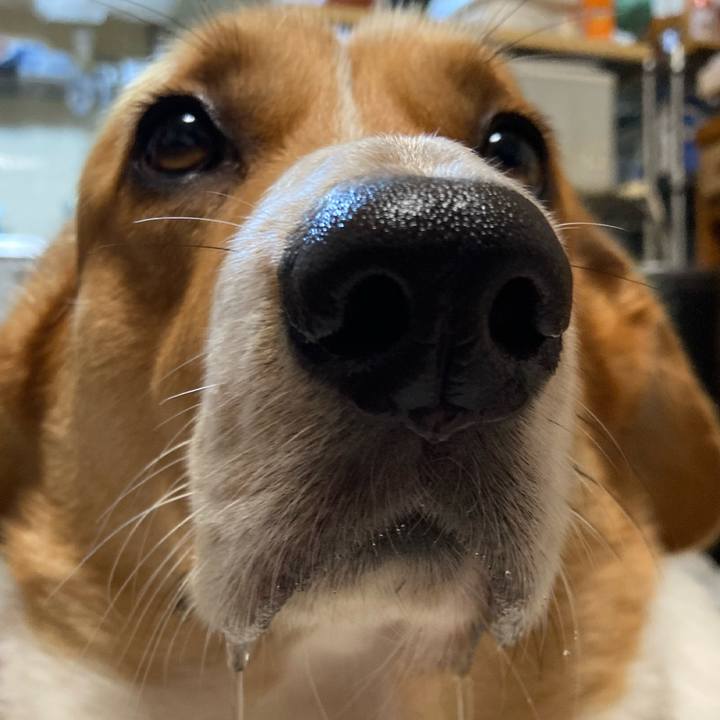 97ff2d52 0f47 42b5 87ea 935a78babec3 1659701229460