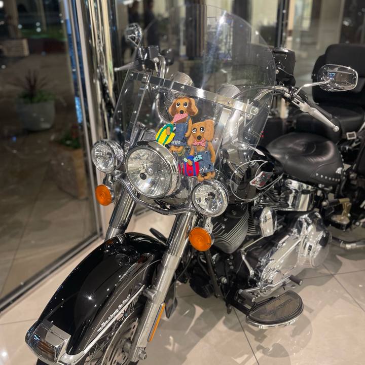 97ff40b4 6de3 4109 8d06 52e48164e678 1732107734246