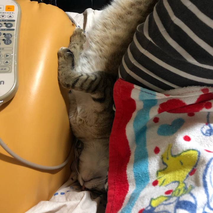 97ffbd45 1425 4696 94f8 27cc5d53641f 1597576036436