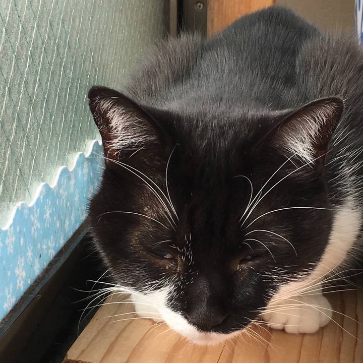 97ffd0d0 09b3 431b 9675 ad07c7686904 1543289748397