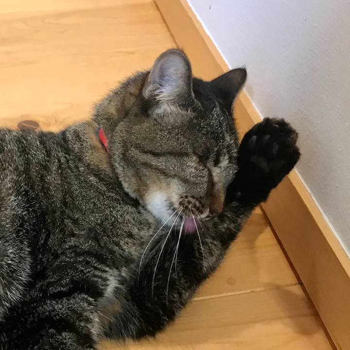 97fff688 56ef 4aee bb71 e7829e0d8155 1571626533129