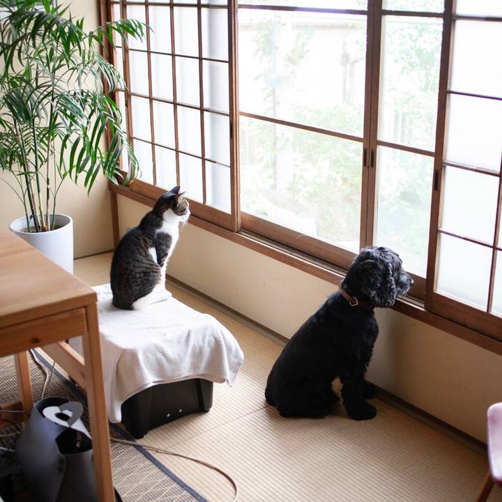 980008ec ebfd 495e 8714 424d863675a8 1603077717303