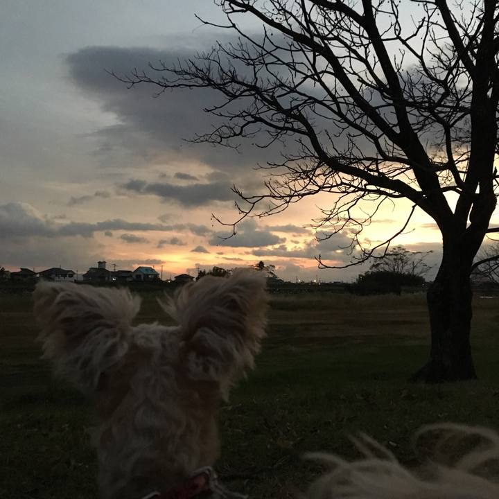 98002f1d ce95 49ce 8662 a64474360106 1511559778686