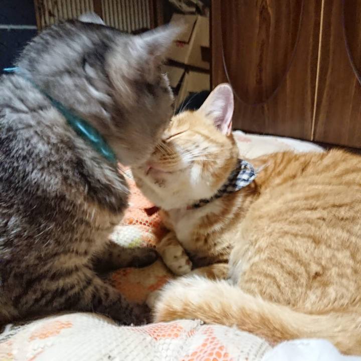 98003f5b 2876 4856 9c0d 4390ea8470e0 1606219498857