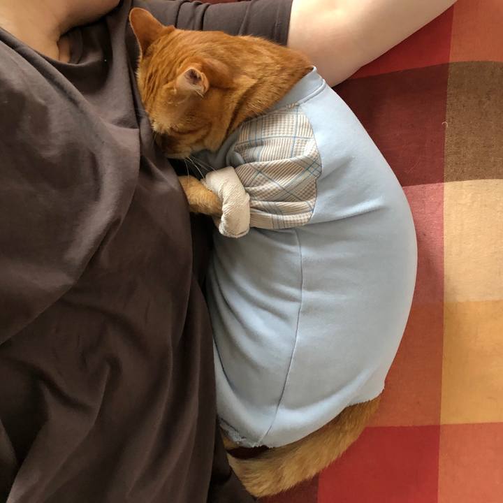 98008f45 3822 4758 8b0a 0abcdb64f176 1681604214855