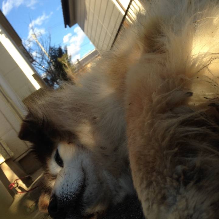 980127dd 7de9 48ea 9cdc ef14675faec0 1591624751923