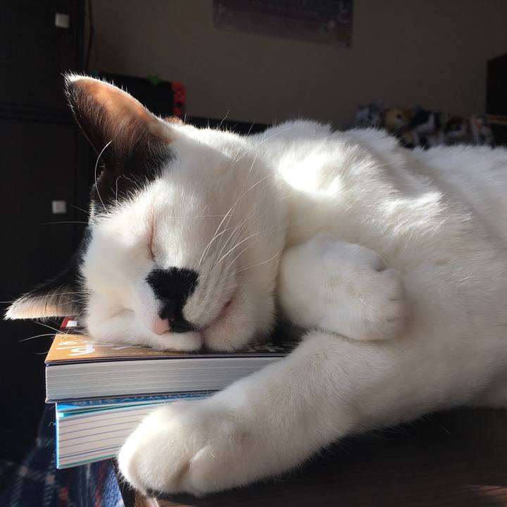 98012e0e ecff 4213 83ca 5950d58c4b47 1513669024685