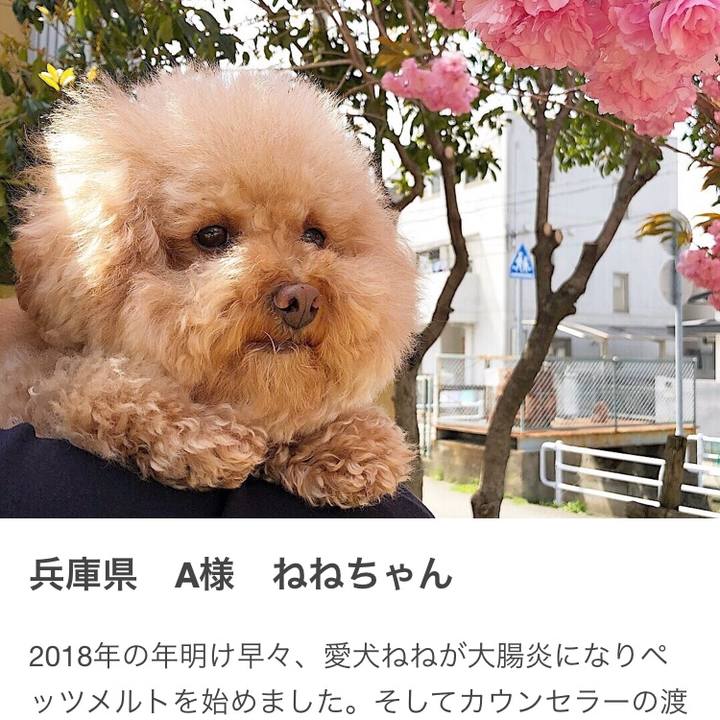 980137ac b05a 48df 834d e2e79bff85f3 1525935175978