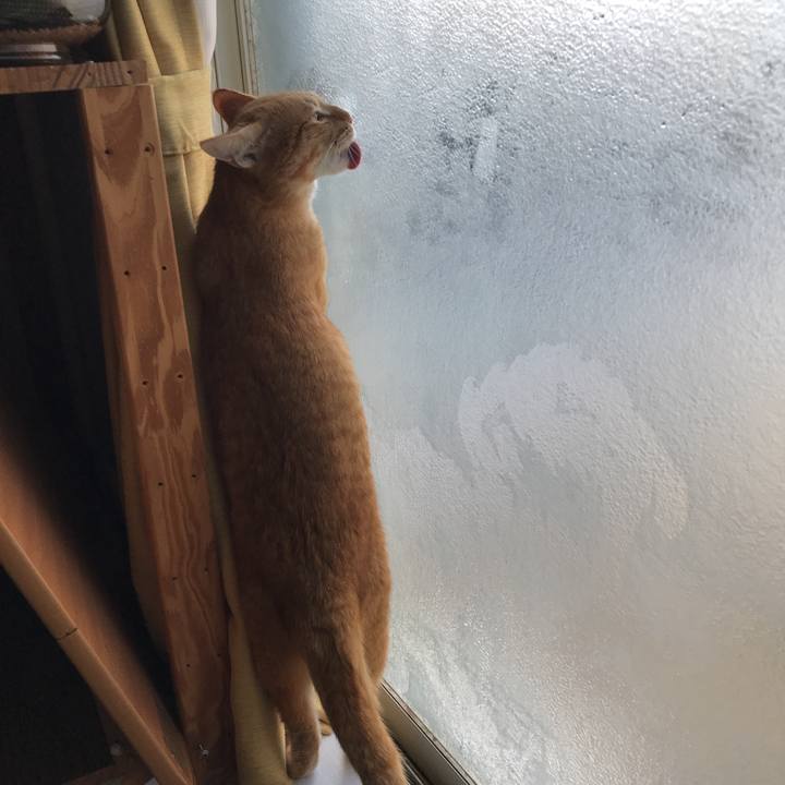 98014ce7 6d94 4c50 a380 44f13a430c31 1544658727525