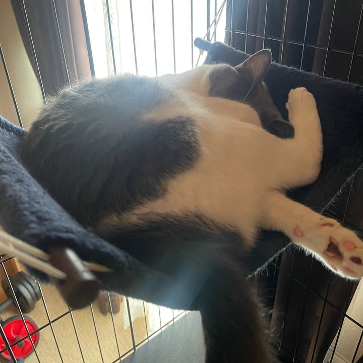 98017107 7e97 45b5 9abd 53adb543f3dd 1694129240281