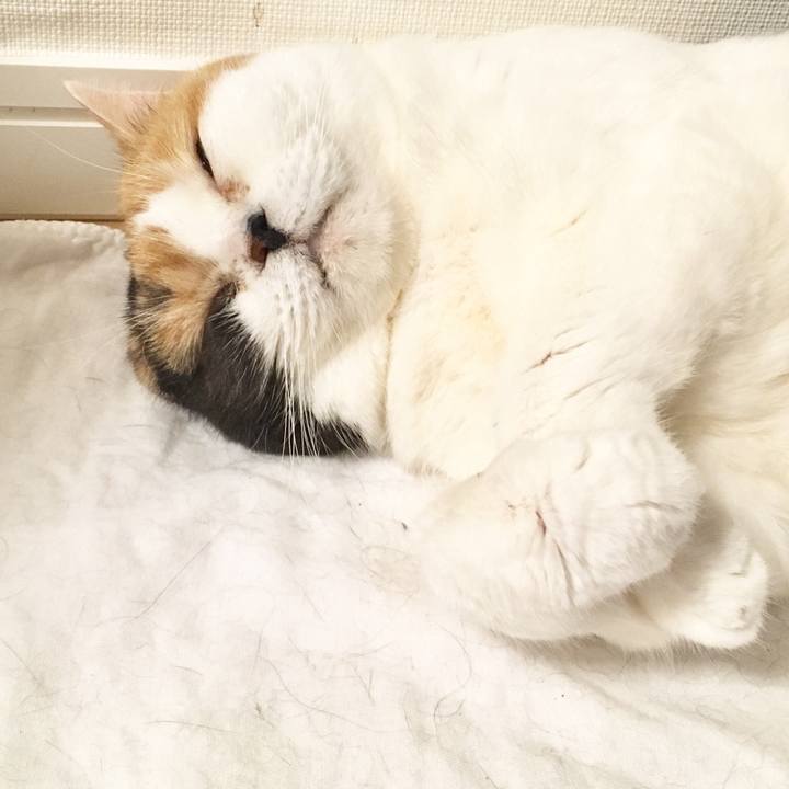 98017c39 f520 4d09 a4cb 9cdceffcf682 1552577137528