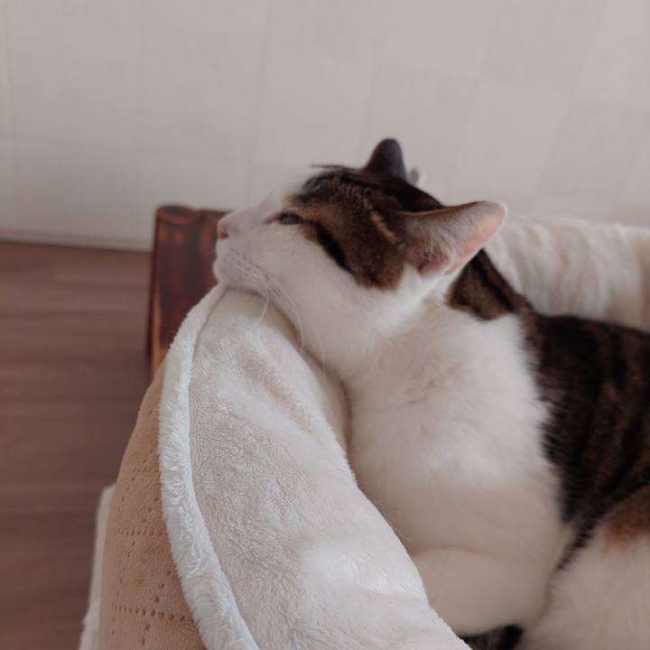 980181b4 0e5b 4ce3 994c e49faf5eebbc 1700010644549