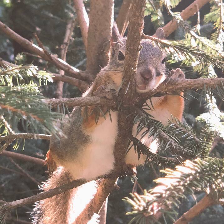 980194ee 583f 4756 967a da2bdc2e5e77 1538833157657