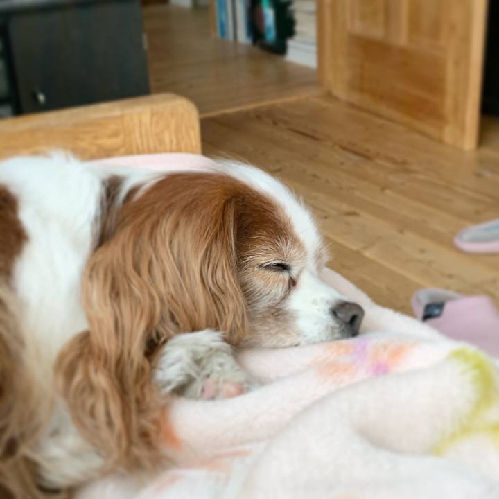 98019e6b 95d7 4a8b 88dc ccc5db105aef 1578544177109