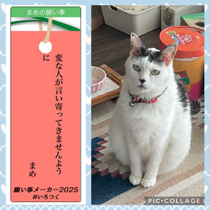 9801b37e 14f6 4b72 819c 0d9d0ae1b5ab 1751896452976