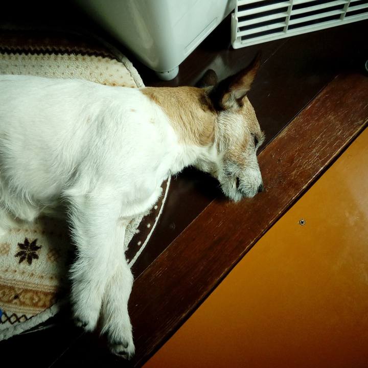 9801f66b 111a 4c25 ad5a 06472ed366ac 1520308625106