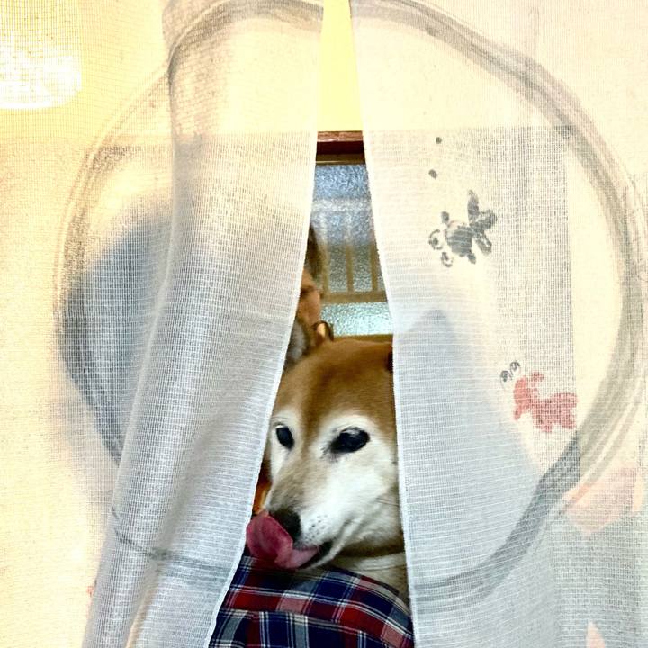 9802117f c47f 45f0 a056 554fa04ec1e4 1724247388082