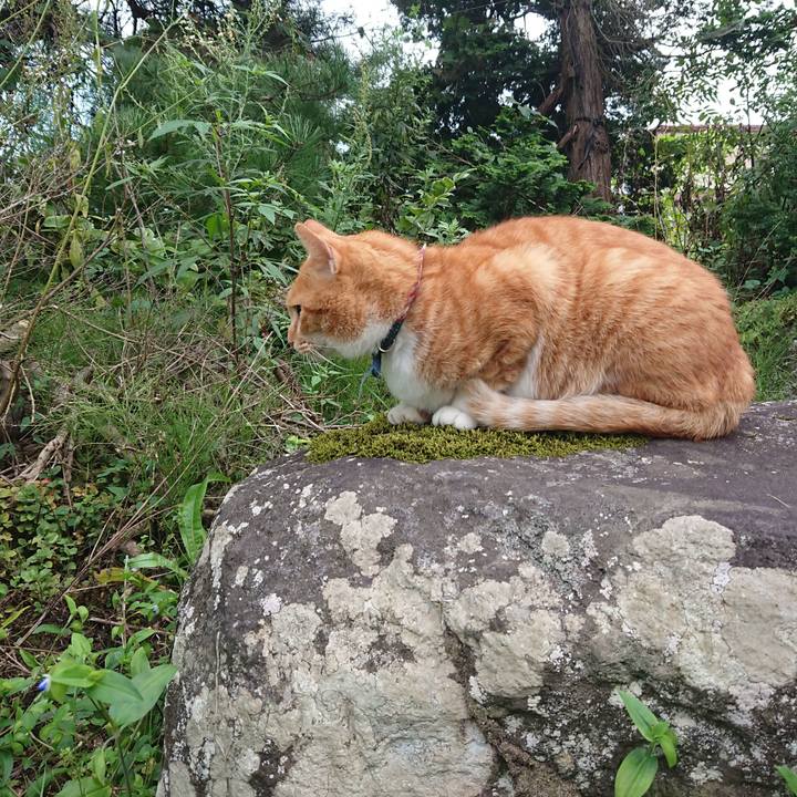 98021aaa a670 42ca b776 bd6cd75b7f19 1600587154245