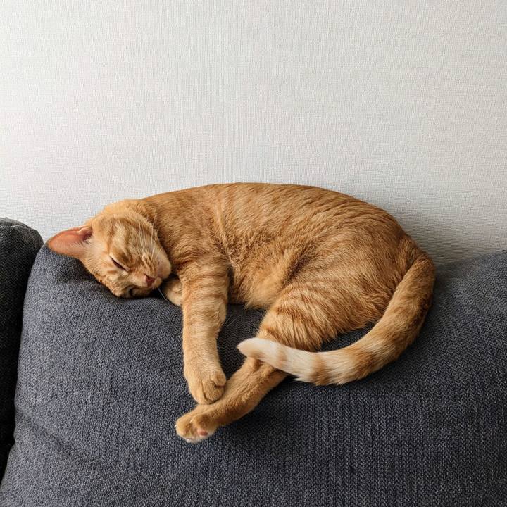 980236b7 6968 45d8 93e8 eed888064f5d 1689670279761