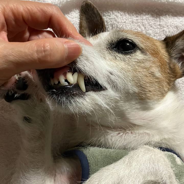 98023a67 d6ae 4393 b6ec e0c4fe1e4cdc 1731713541414