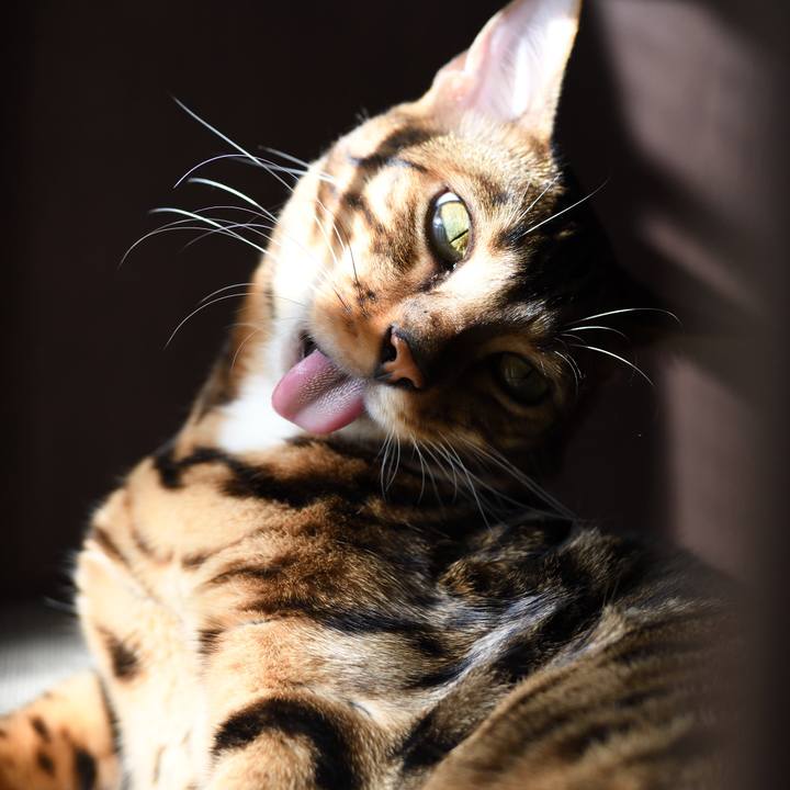 98024c97 9c50 4e20 95be da70a8b7ba29 1512117553464