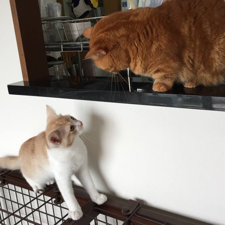 98026ded 1c67 4246 bec9 d569083140a2 1593133363169