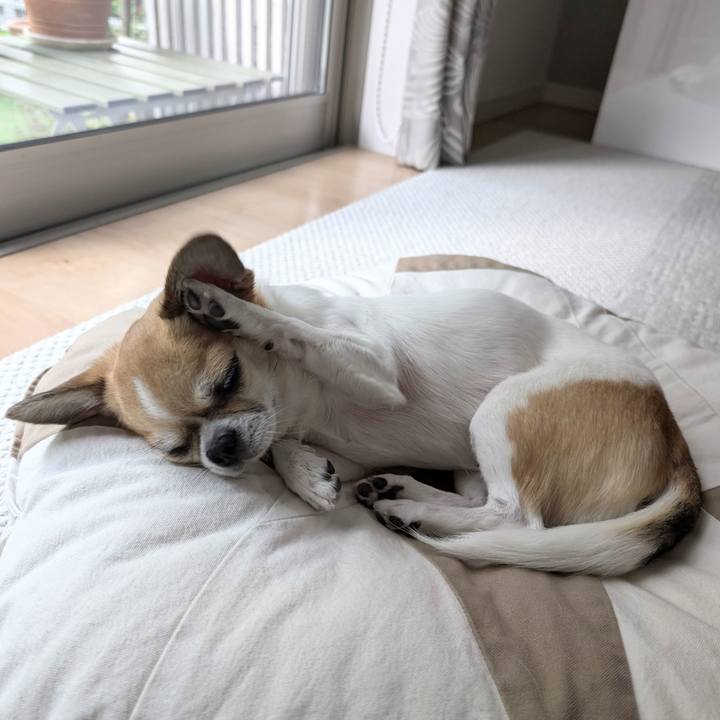 98029b4f 05c0 4039 b318 2de8d85697e0 1724317876163