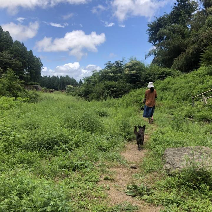 9802a292 5177 443e 9029 7bac3db95265 1535765613050