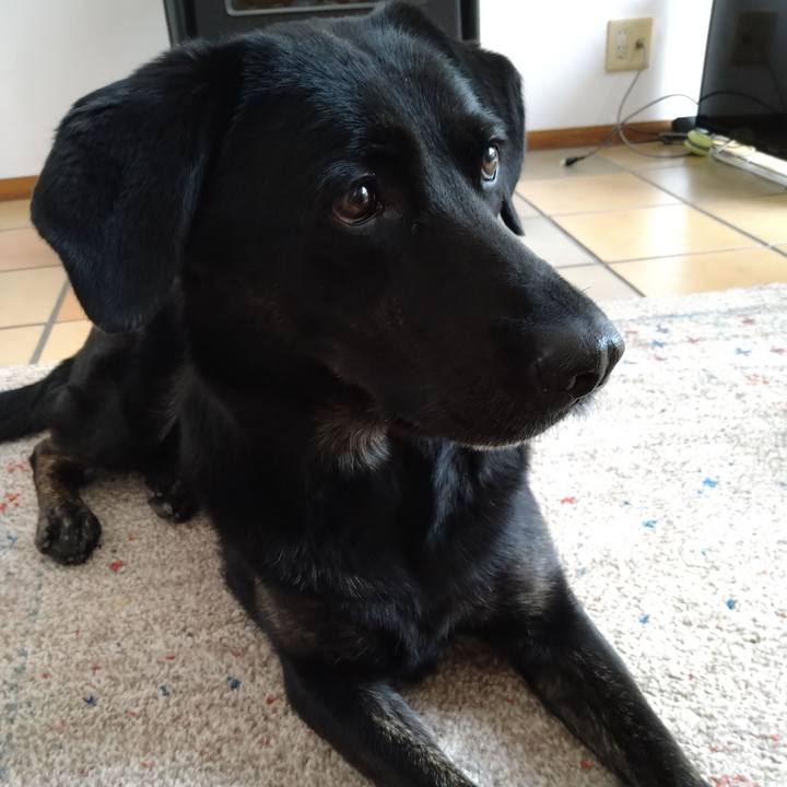 9802b637 6471 4a7b 9670 3f3ba9dc7904 1604644284458