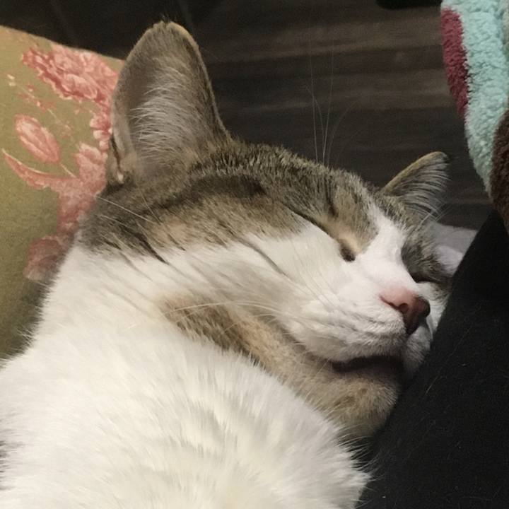 9802d532 cca2 4899 98fd 38937328319c 1645318855393