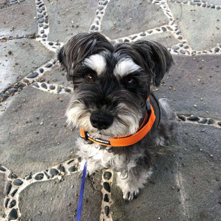 9802e7d7 63df 4acb ab0d b3a28d3eb0ed 1700734486223