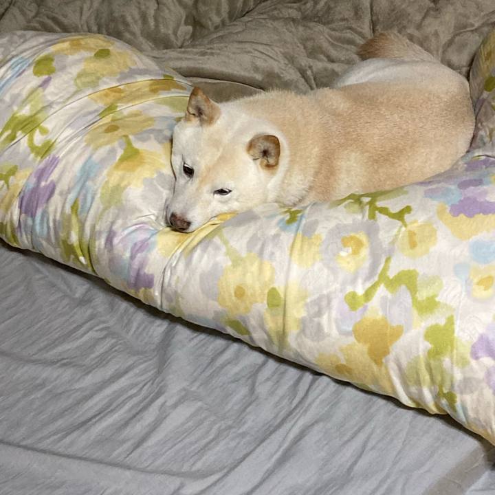 9802e9c7 36ba 49ad b8ca 5117f8b6871f 1709302750088