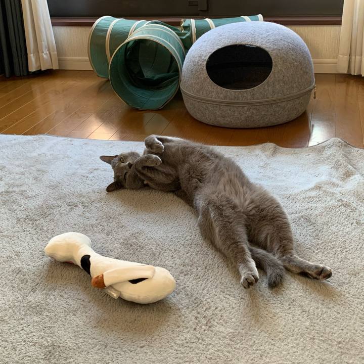 9802f1f9 01fb 4932 a27d c69edef05635 1666570678681