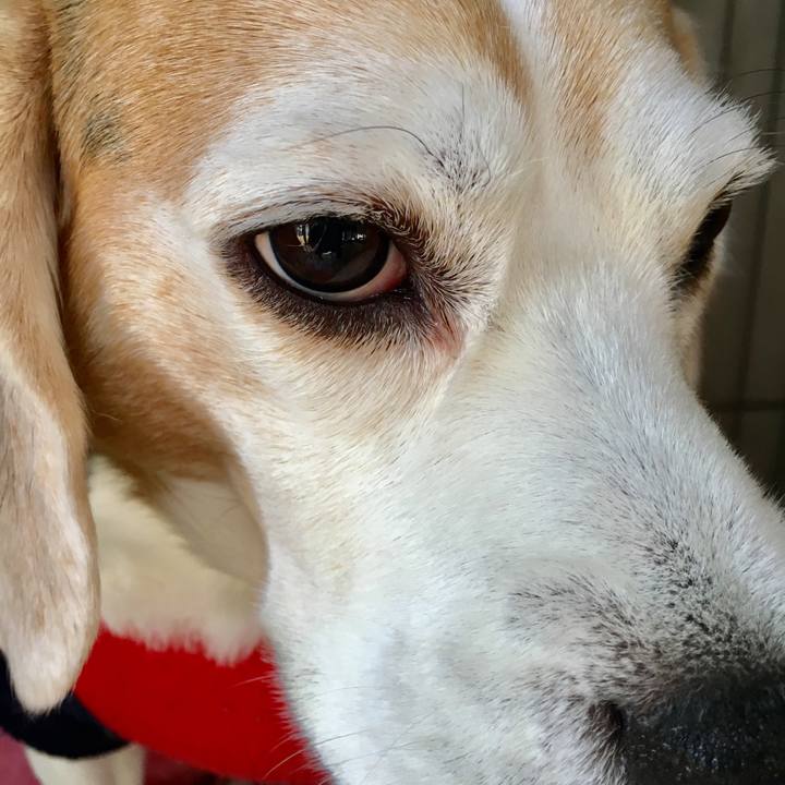 9802f9e6 4f90 43c9 9c7c 49d8facc2adb 1547616828747