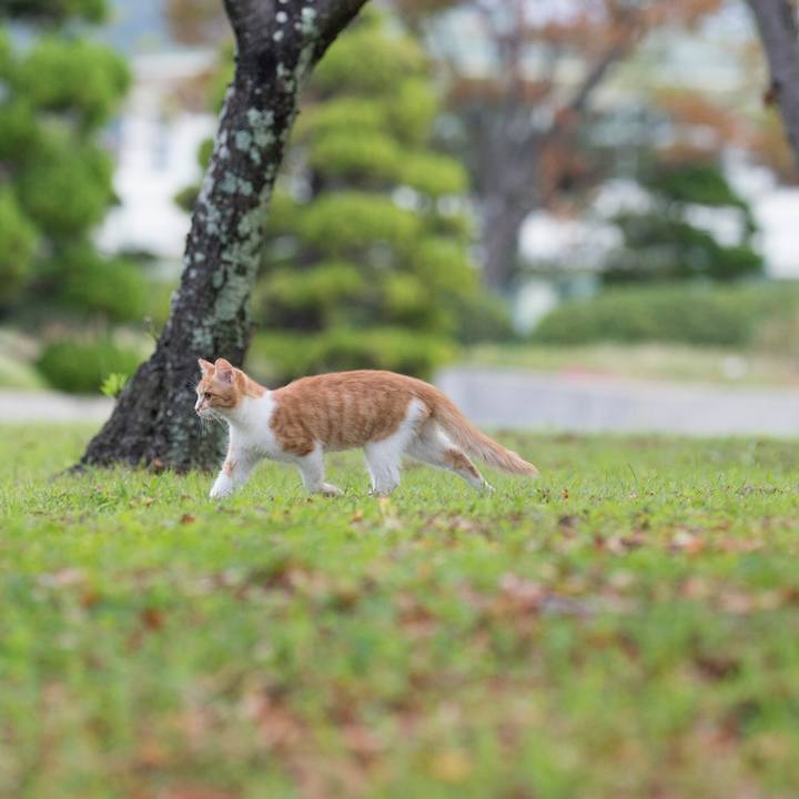 980304b7 1773 45c6 8a78 147341387ae2 1537016184709