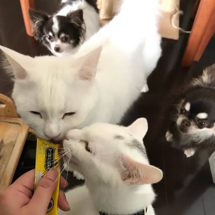 98031bbe 02fb 4b32 a996 ae09e34ce121 1576373496252