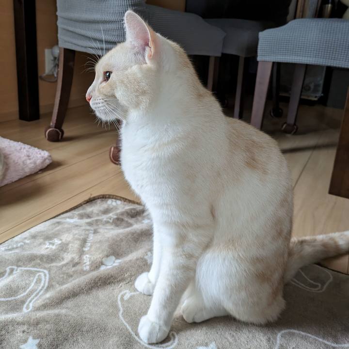 980344c5 5c51 48b9 a88c d820064707e1 1696421624846