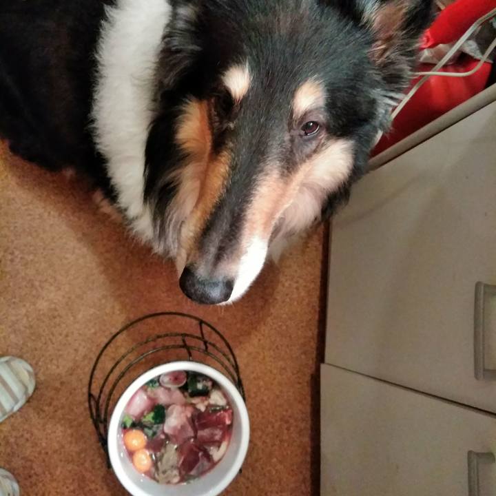 98034ddc d668 4484 b3af 0e0a16d061b2 1510663984239