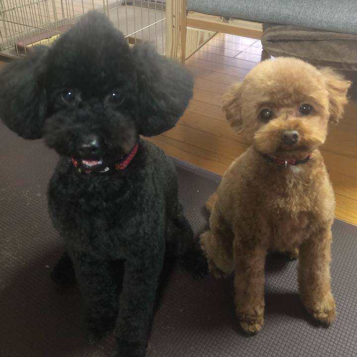 980366f7 43eb 446c 924b eb9660a0055b 1583044810918