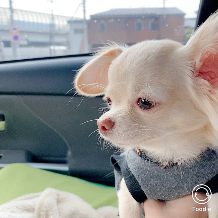 980368e5 f417 467c 88b2 18c4eab66773 1604369960792